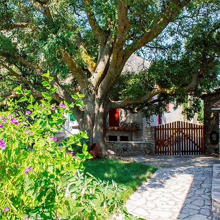 Menelia Cottage Platístoma Quarto foto